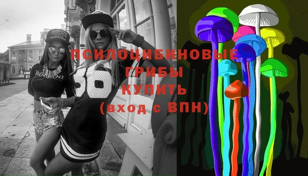 ПСИЛОЦИБИНОВЫЕ ГРИБЫ Алексеевка