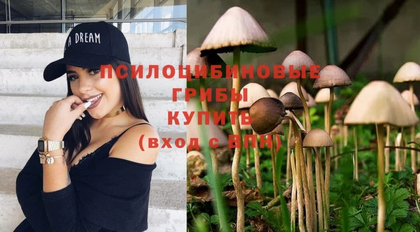 кристаллы Абаза