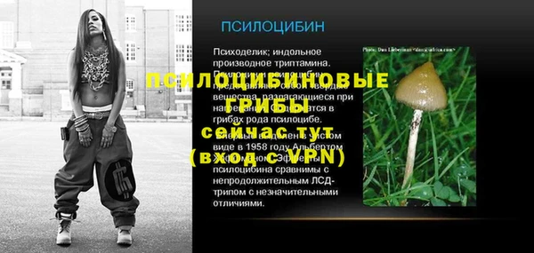 ГАЛЛЮЦИНОГЕННЫЕ ГРИБЫ Абинск
