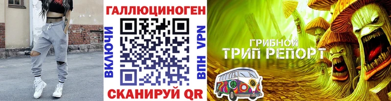 Псилоцибиновые грибы MAGIC MUSHROOMS shop клад Бобров где купить